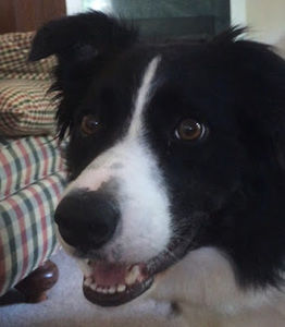 Meet your Posher, Kate